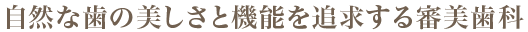 自然な歯の美しさと機能を追求する審美歯科